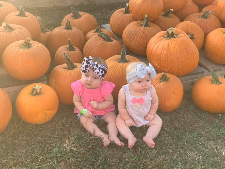 Pumpkins ready to pick at Pumpkin Town, Shuckle&rsquo;s Pumpkin Patch near Nashville