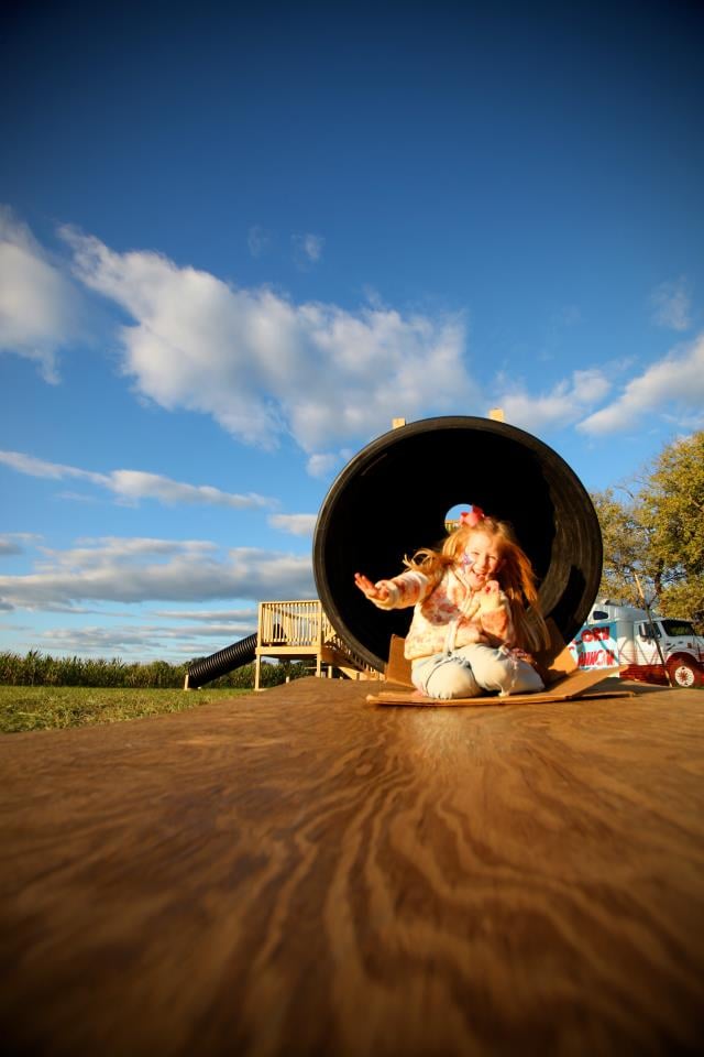 Children coming down the 40-Foot Super Slide at Shuckle's
