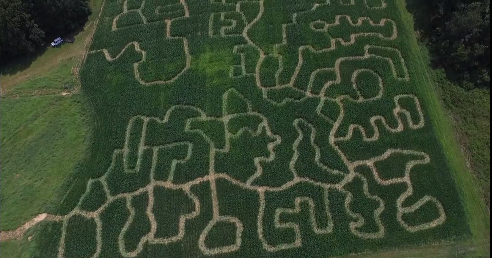 Aerial view of the 8-acre corn maze at Shuckle's near White House, Tennessee