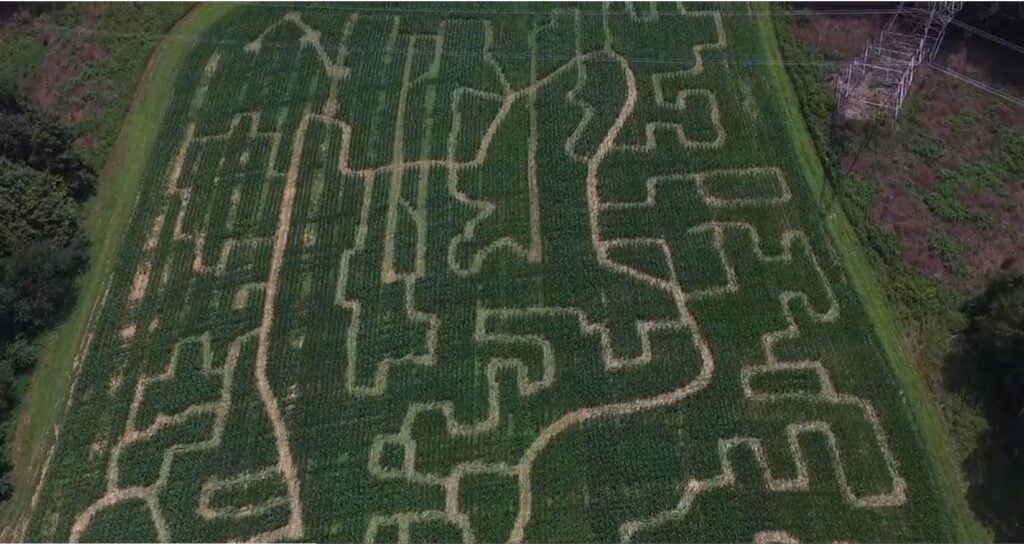 Maze-Drone-Second-Half.jpg